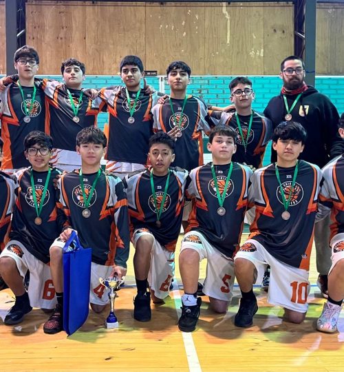 whatsapp image 2025 11 15 at 11.26.48 am